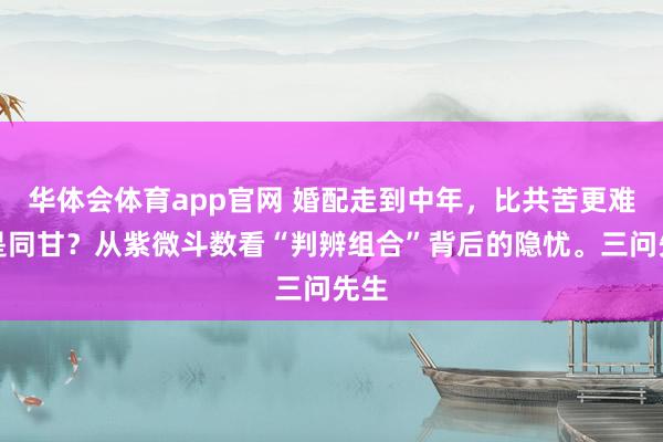 华体会体育app官网 婚配走到中年，比共苦更难的是同甘？从紫微斗数看“判辨组合”背后的隐忧。三问先生