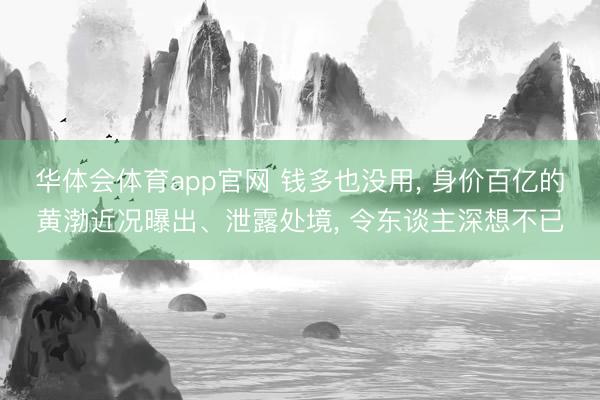 华体会体育app官网 钱多也没用， 身价百亿的黄渤近况曝出、泄露处境， 令东谈主深想不已
