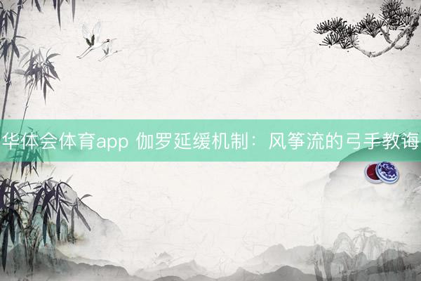 华体会体育app 伽罗延缓机制：风筝流的弓手教诲